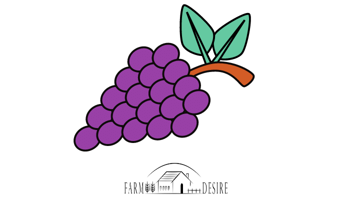 grapes for pigs
