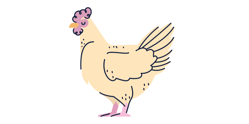 Can Chicken Eat Green Beans from garden