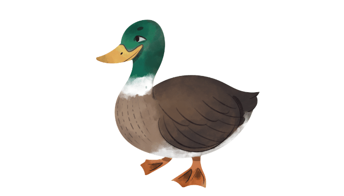 Can Ducks Eat Sunflower Seeds? Can Ducks Eat Sunflower Seeds with shells