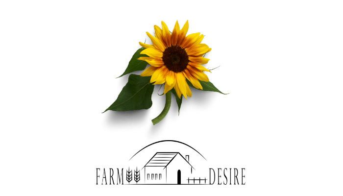 Can Ducks Eat Sunflower Seeds