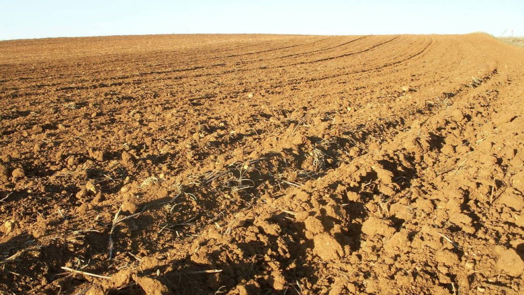 Difference Between Subsistence Farming And Intensive Farming