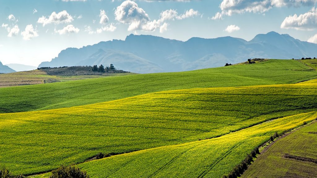 What Are The Types Of Commercial Farming?