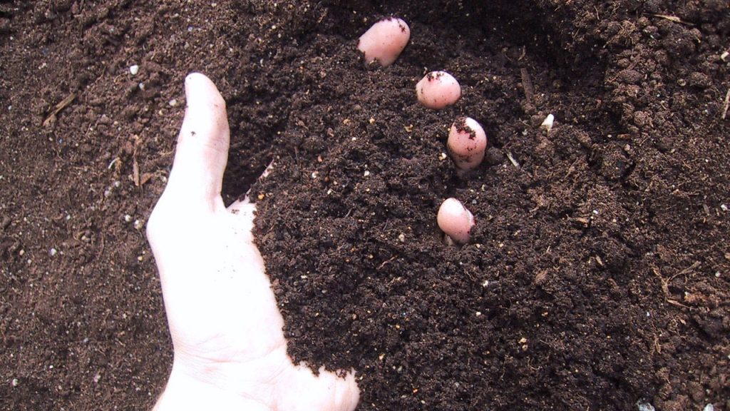 What Is Friable Soil and Why Is it Important?