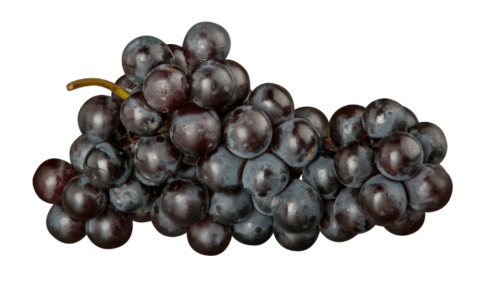 can baby geese eat grapes