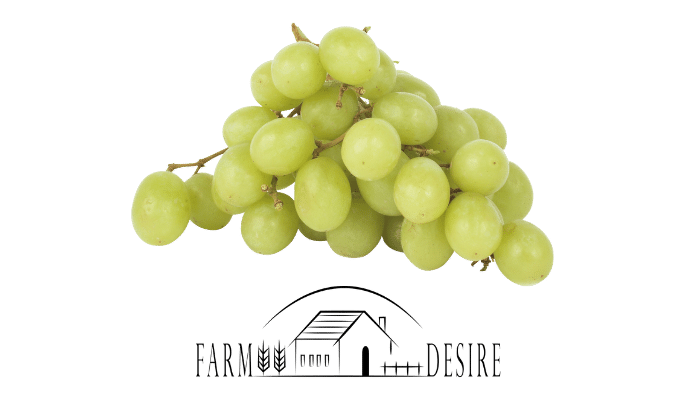 can geese eat grapes
