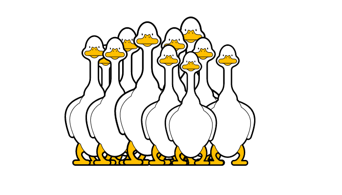 grapes for geese