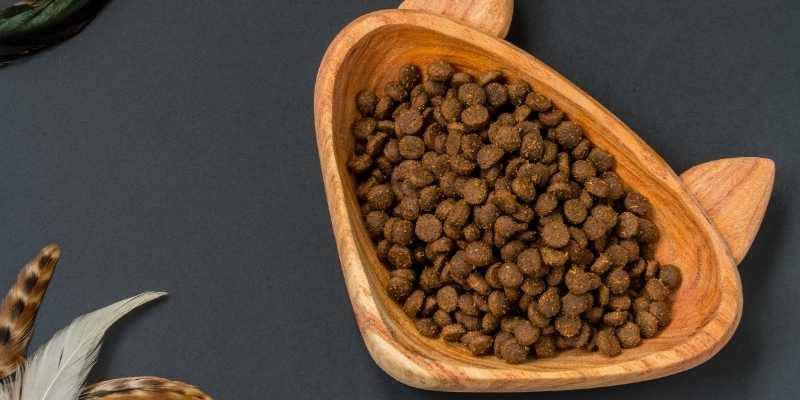 Can Ducks Eat Cat Food