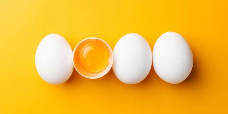 Can Pigs Eat Eggs