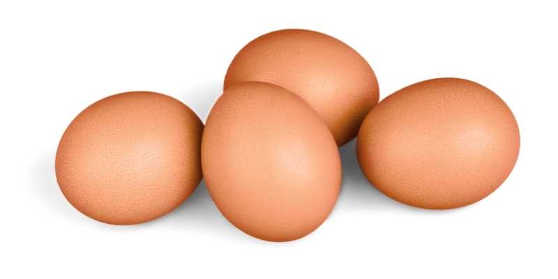 can pigs eat eggshells