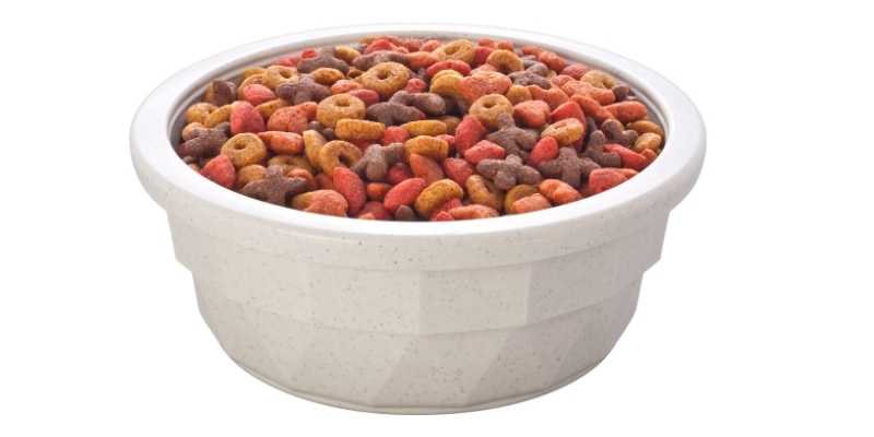 Can Ducks Eat Cat Food? do ducks like eat cat food
