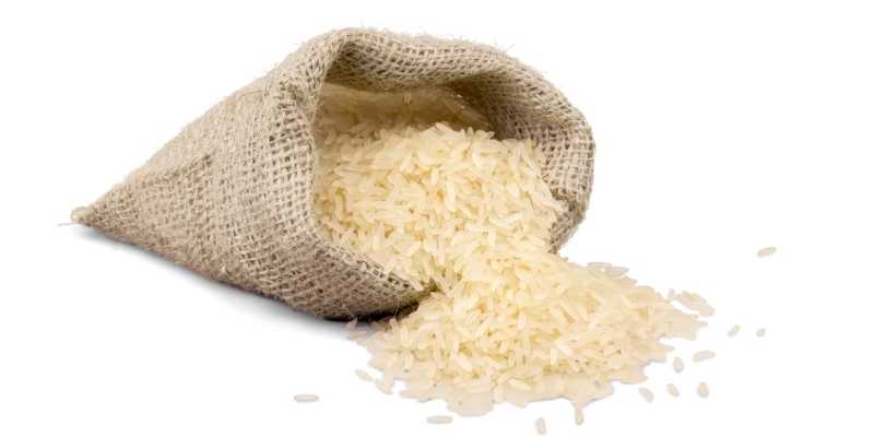 do ducks eat rice