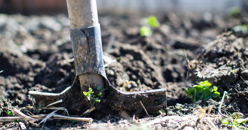 What Is the Green Revolution? - Definition, Benefits, Techniques, and More