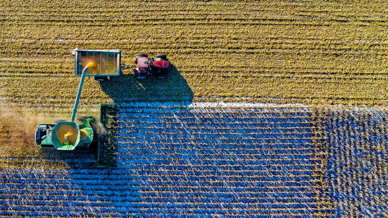 What Is the Green Revolution? - Definition, Benefits, Techniques, and More 