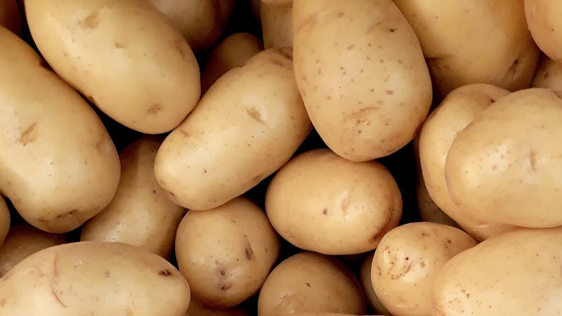 How To Grow Potatoes? [Everything You Need To Know]