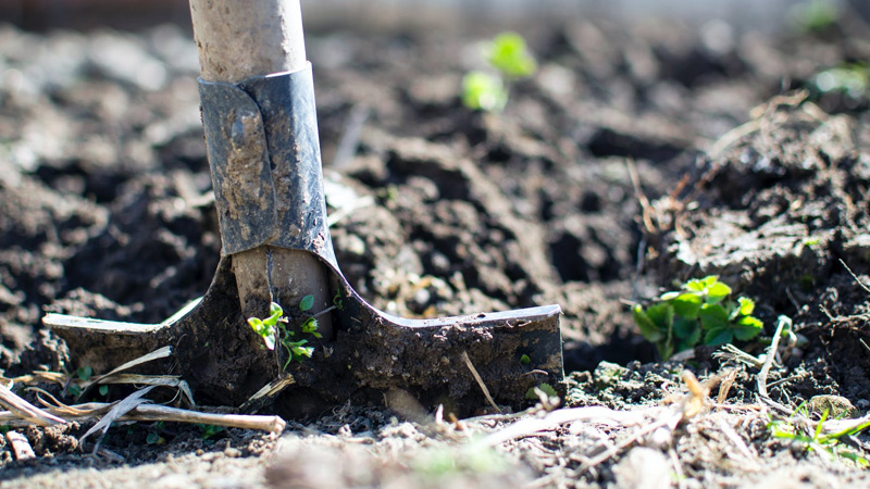 Is Soil a Renewable Resource?