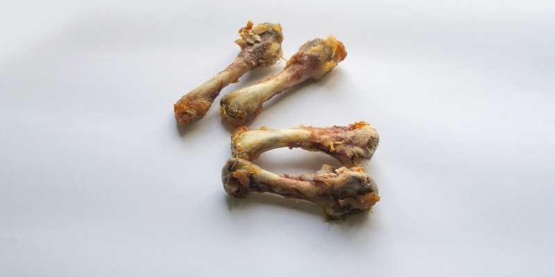 can Pigs Eat Chicken Bones