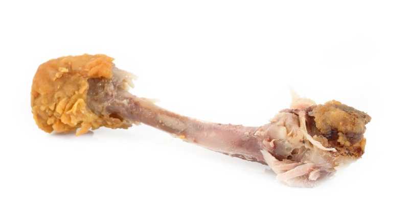 chicken bones