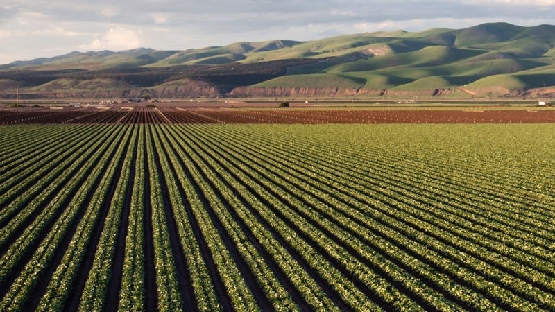 Difference Between Subsistence Farming And Intensive Farming