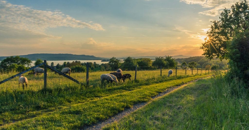 10 Best Tractors for a Small Farm