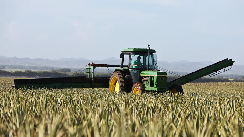 Buying a Used Tractor 11 Things You Need to Look Out For