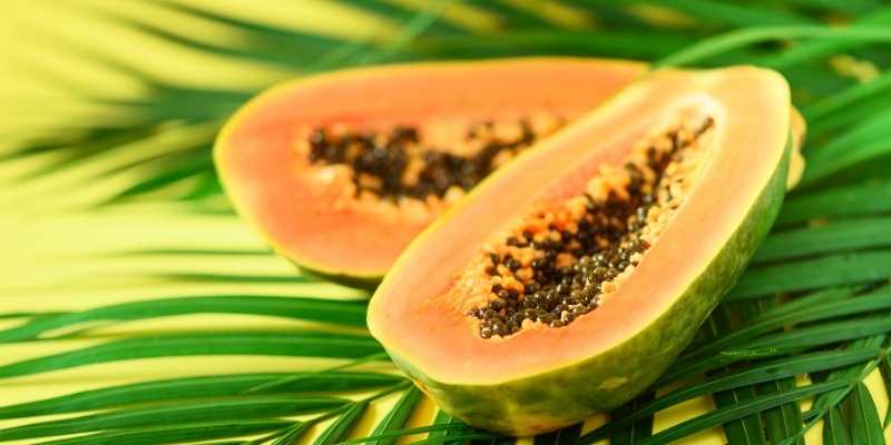 Can Chickens Eat Papaya