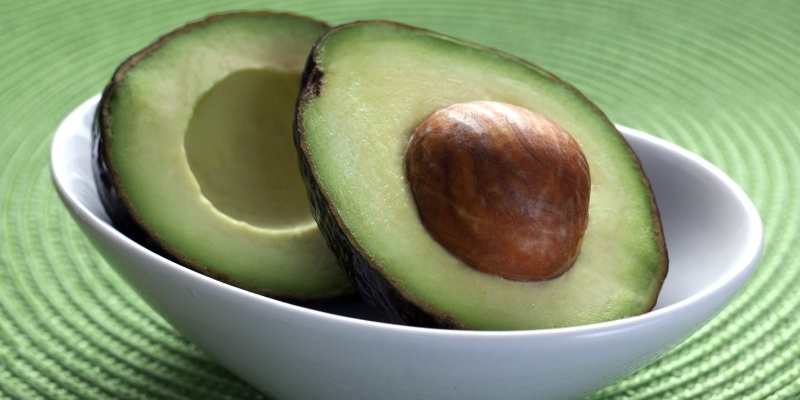 Can Pigs Eat Avocado