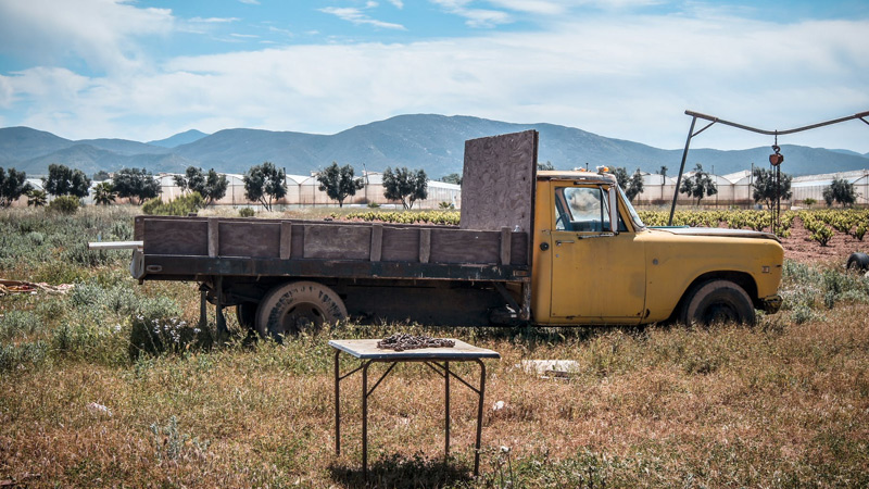 Can You Drive a Farm Truck Without a License? 