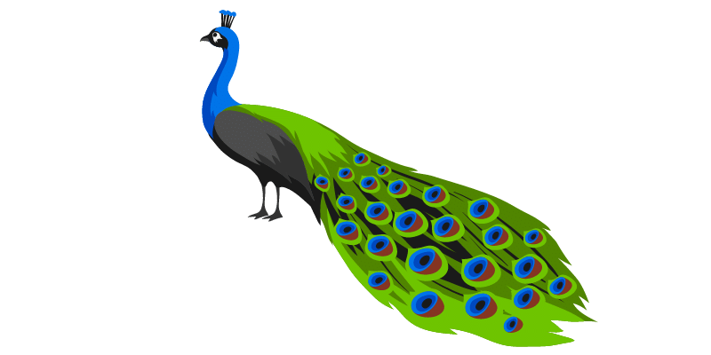 Peafowl-names