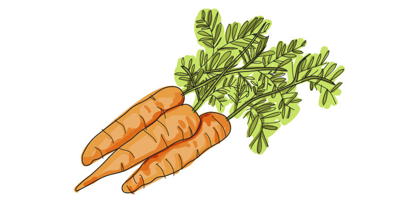 carrots