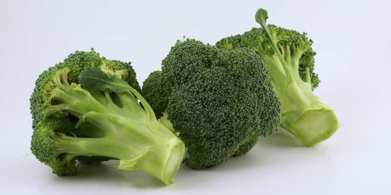 Can Goats Eat Broccoli