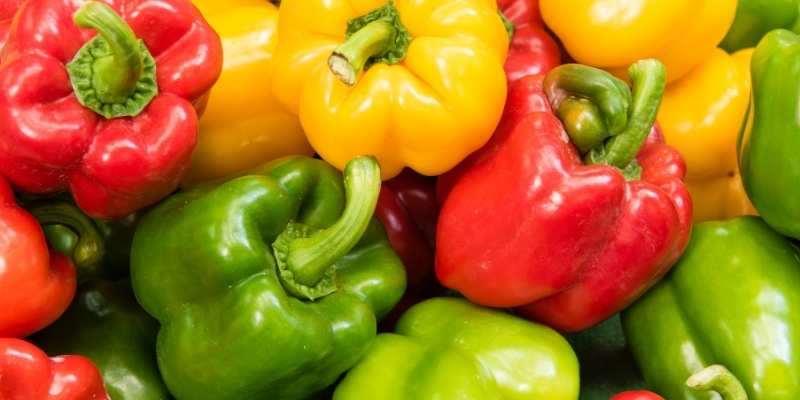 Can Rabbits Eat Peppers