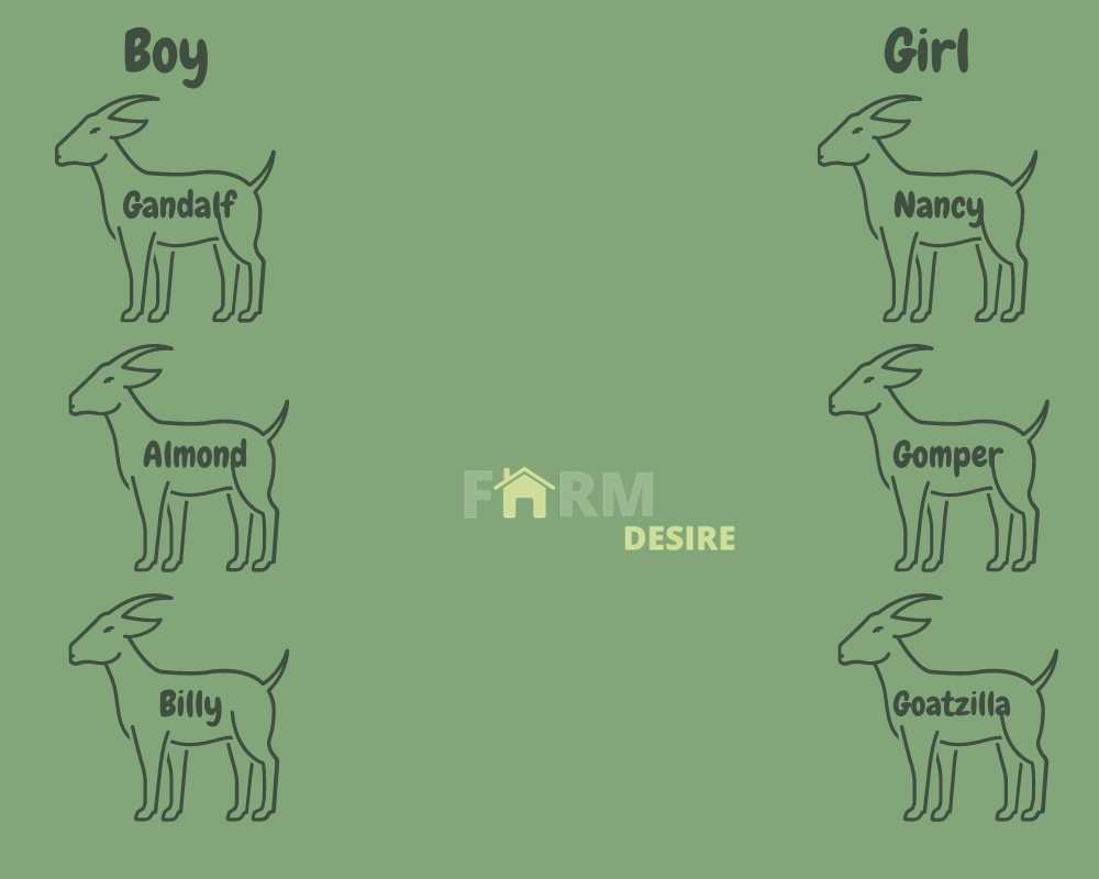 names-for-pet-goat