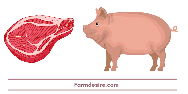 pig-and-meat