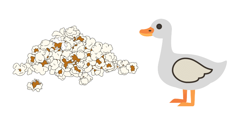 popcorn-for-ducks
