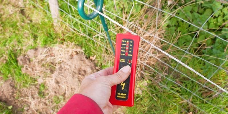Best Electric Fence Tester