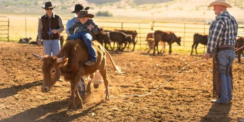riding-on-cow