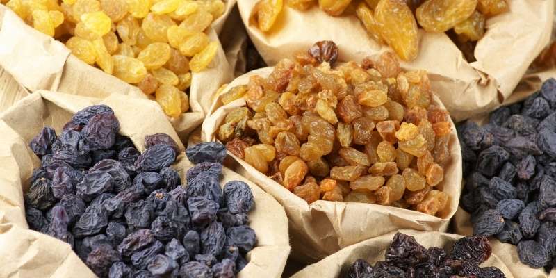 Can Chickens Eat Raisins