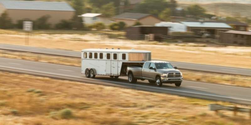 Livestock Trailer Rental, Can You Rent a Livestock Trailer? Can-You-Rent-a-Livestock-Trailer
