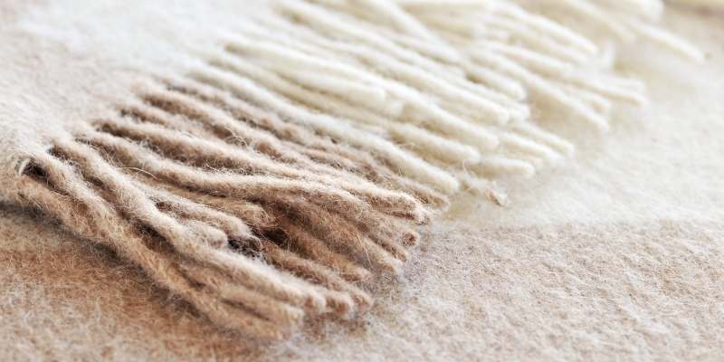alpaca-wool