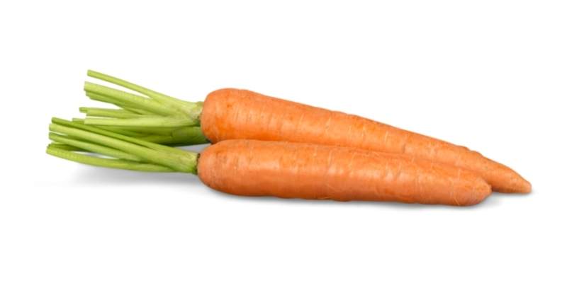 Can Cows Eat Carrots? 3 Ways to Feed carrot