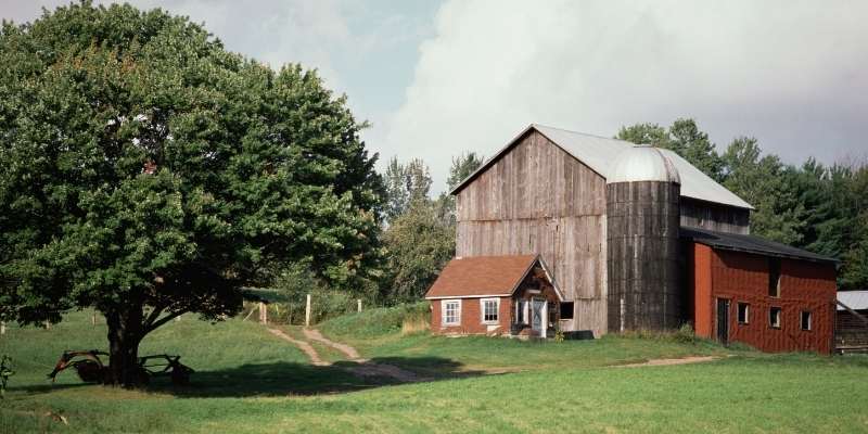 farm