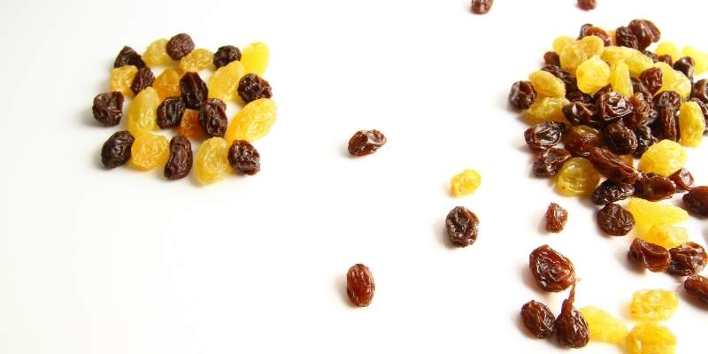 raisin