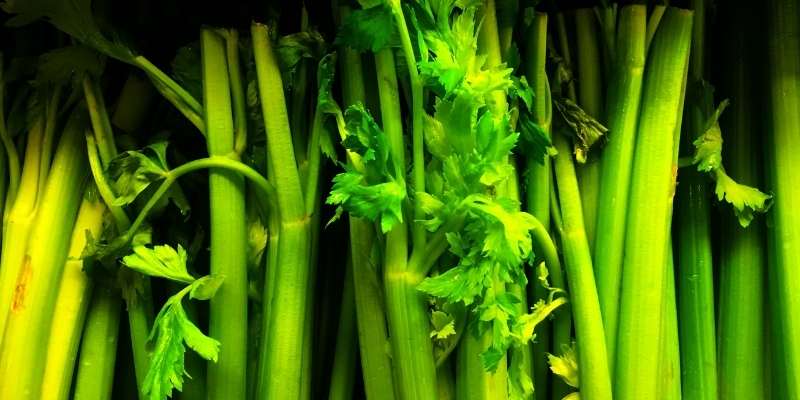 celery