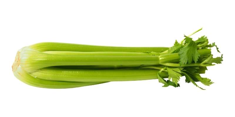 ducks-eat-celery