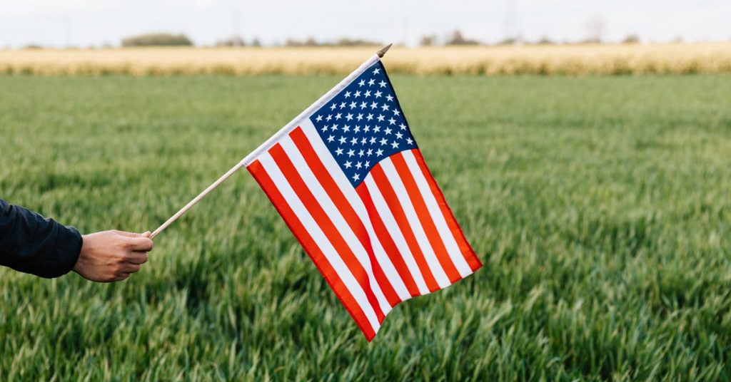 15 Best Lawn Mowers Made in the USA (Brands and Models)