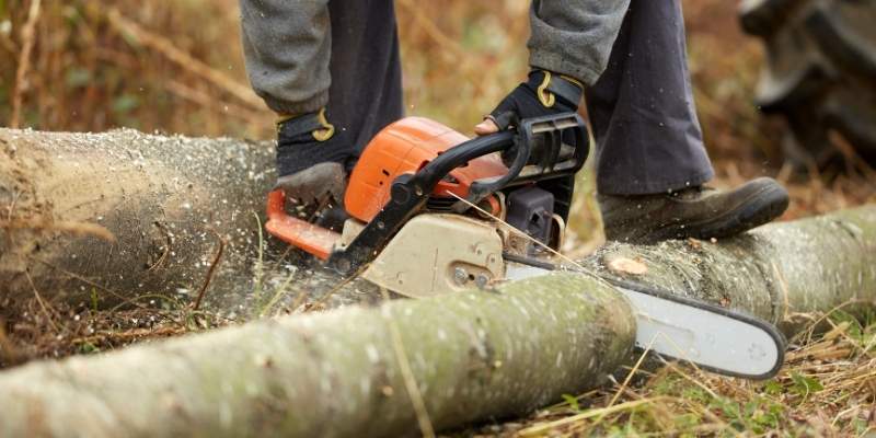 Best Chainsaw For Farm Use
