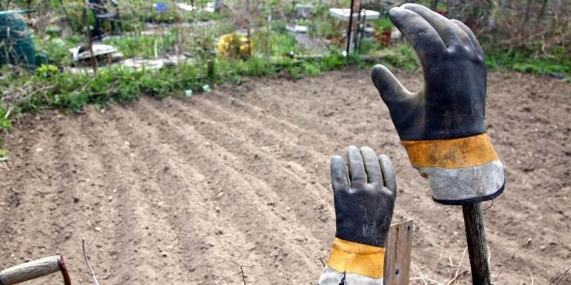 Best Gloves For Farm Work