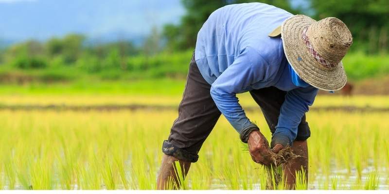 Best Hats For Farmers