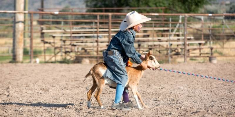 Can You Ride A Goat