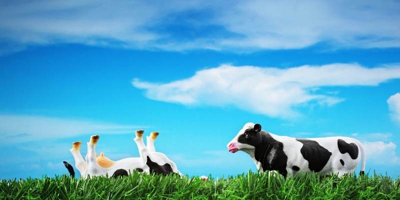 Does Cow Tipping Kill Cows
